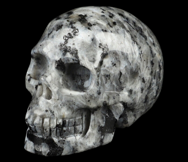 Skull Larvikite